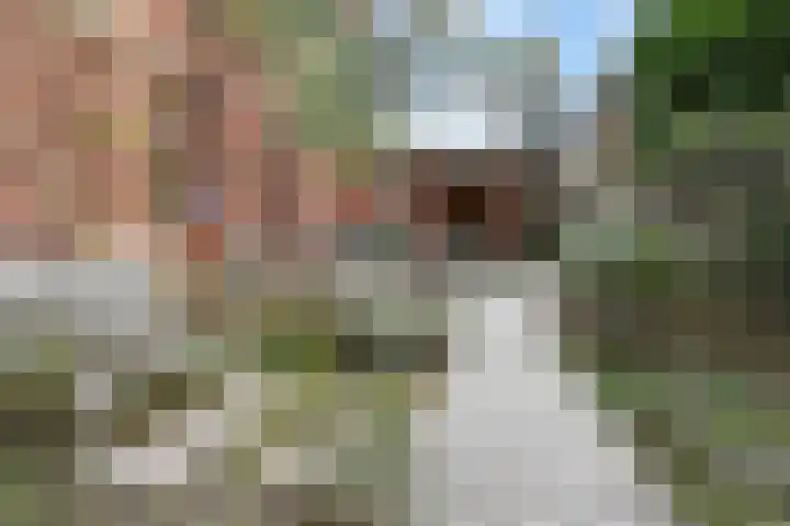 Laan van Floris de Vijfde 4 Nootdorp thumbnail 49