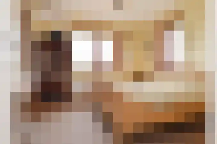 Laan van Floris de Vijfde 4 Nootdorp thumbnail 57