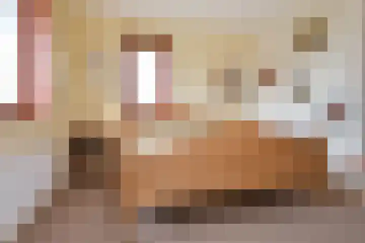 Laan van Floris de Vijfde 4 Nootdorp thumbnail 58
