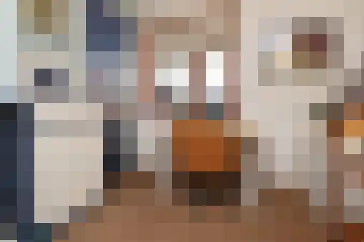 Laan van Floris de Vijfde 4 Nootdorp thumbnail 64