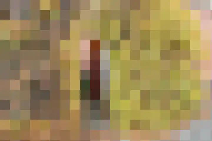 Laan van Floris de Vijfde 4 Nootdorp thumbnail 76