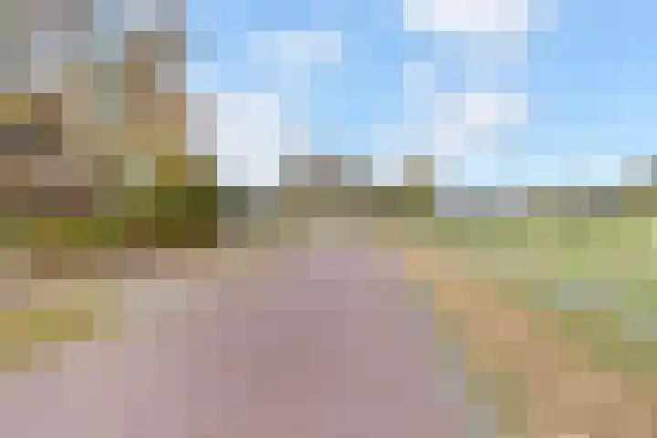 Laan van Floris de Vijfde 4 Nootdorp thumbnail 77