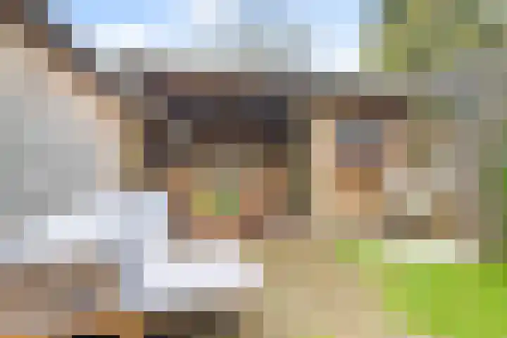 Laan van Haagvliet 22 Voorburg thumbnail 17