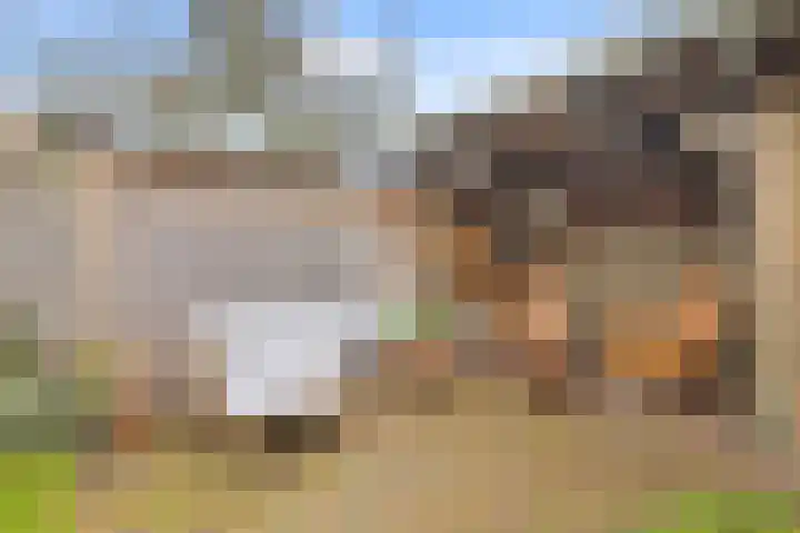 Laan van Haagvliet 22 Voorburg thumbnail 18