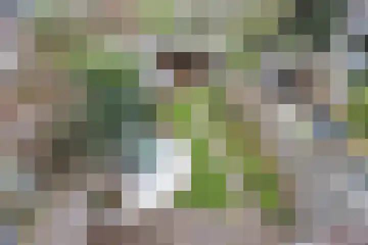 Laan van Haagvliet 22 Voorburg thumbnail 29