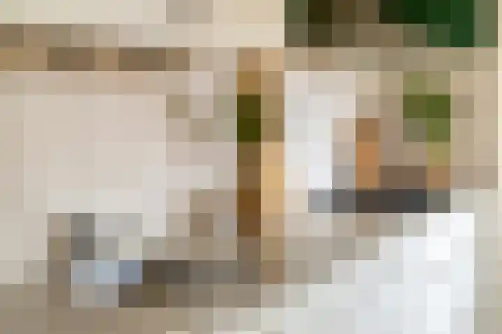 Laan van Havezathen 32 Norg thumbnail 17