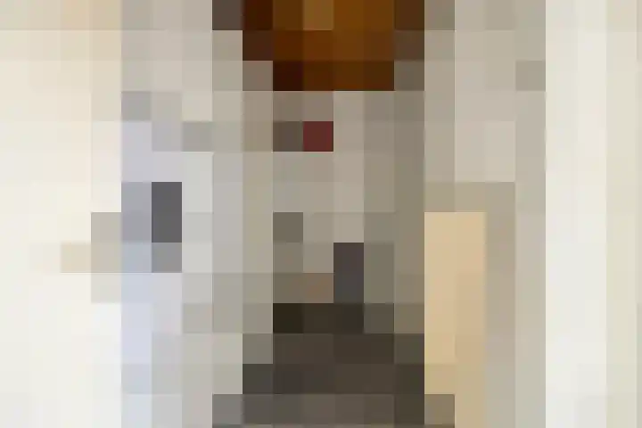 Laan van Havezathen 32 Norg thumbnail 18