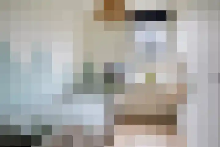 Laan van Havezathen 32 Norg thumbnail 24