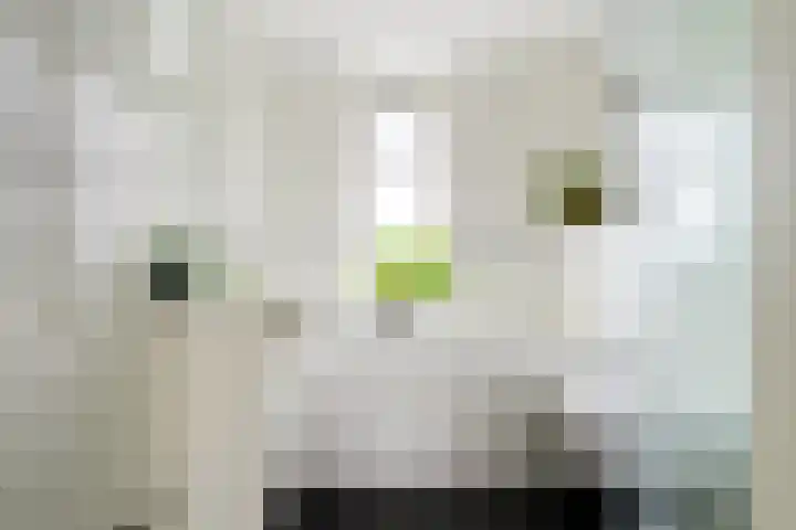 Laan van Havezathen 32 Norg thumbnail 26