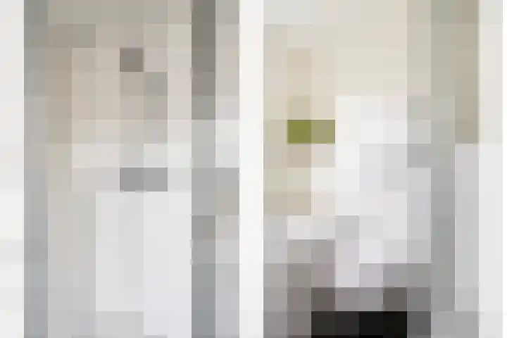 Laan van Havezathen 32 Norg thumbnail 27