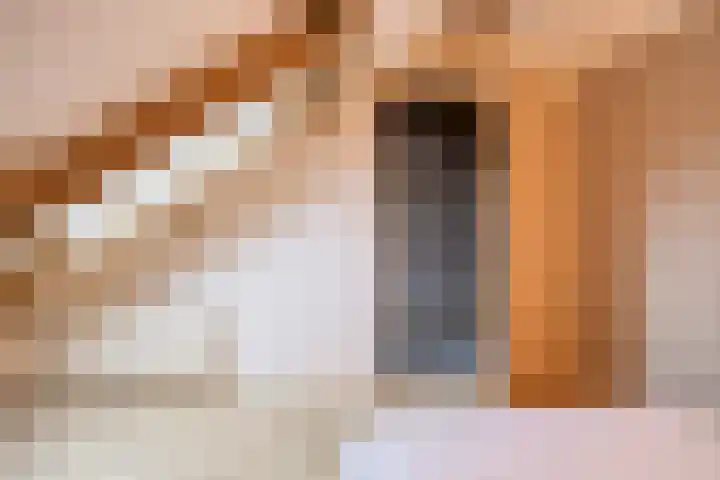 Laan van Havezathen 32 Norg thumbnail 29