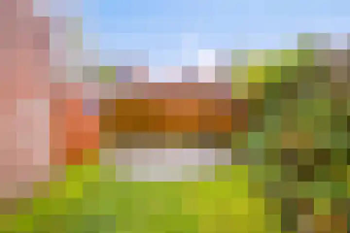Laan van Havezathen 32 Norg thumbnail 33