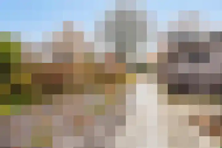 Laan van Havezathen 32 Norg thumbnail 35