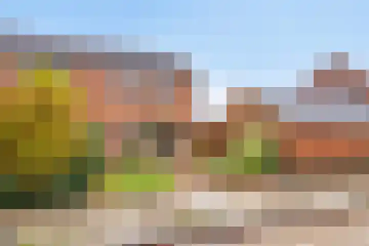 Laan van Havezathen 32 Norg thumbnail 36