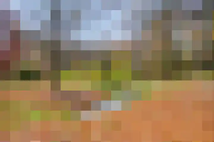 Laan van Havezathen 32 Norg thumbnail 40