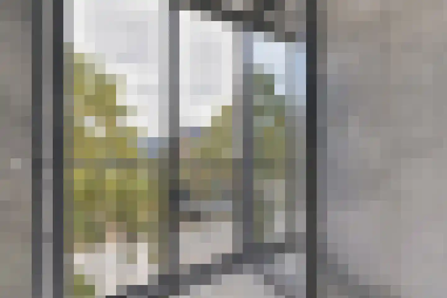 Laan van Heemstede 6 Nieuwegein thumbnail 35