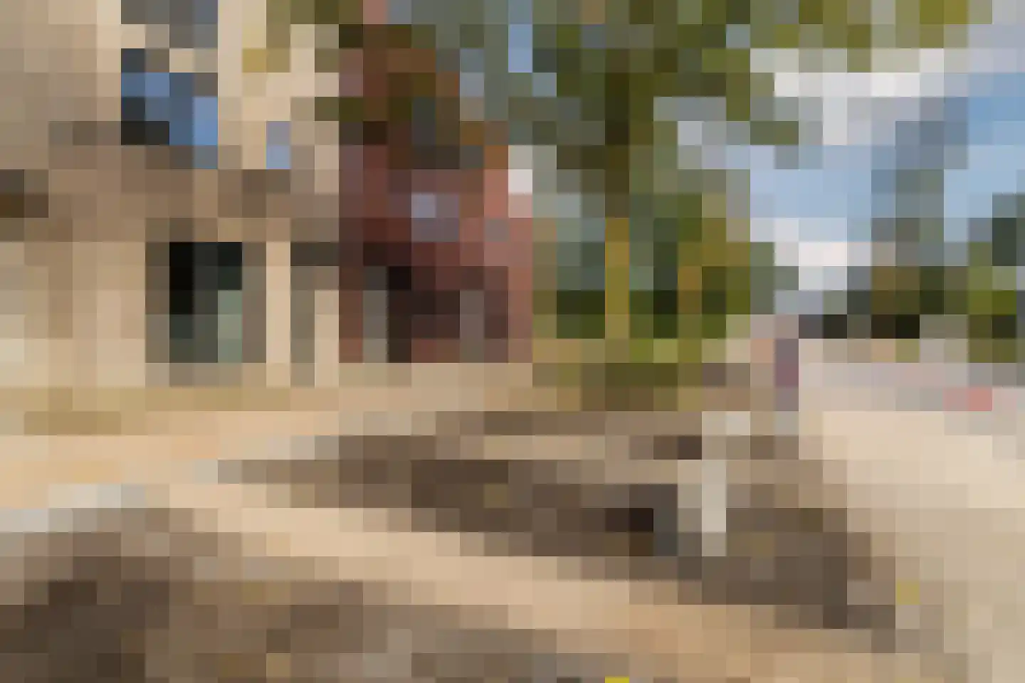 Laan van Heemstede 6 Nieuwegein thumbnail 4