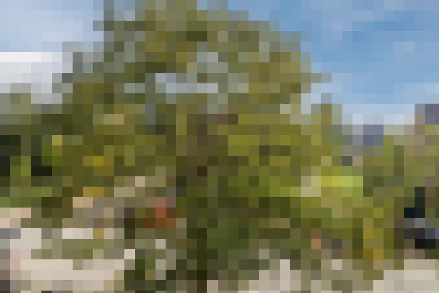 Laan van Heemstede 6 Nieuwegein thumbnail 44