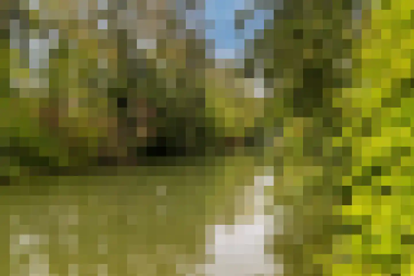Laan van Heemstede 6 Nieuwegein thumbnail 59