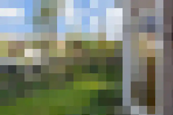 Laan van Heldenburg 2 Voorburg thumbnail 10