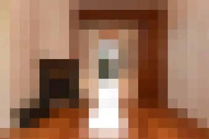 Laan van Heldenburg 2 Voorburg thumbnail 22