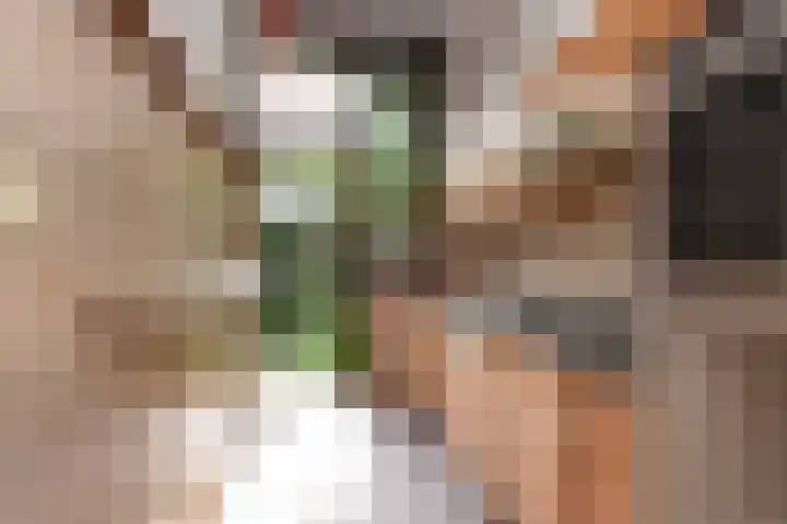 Laan van Heldenburg 2 Voorburg thumbnail 27