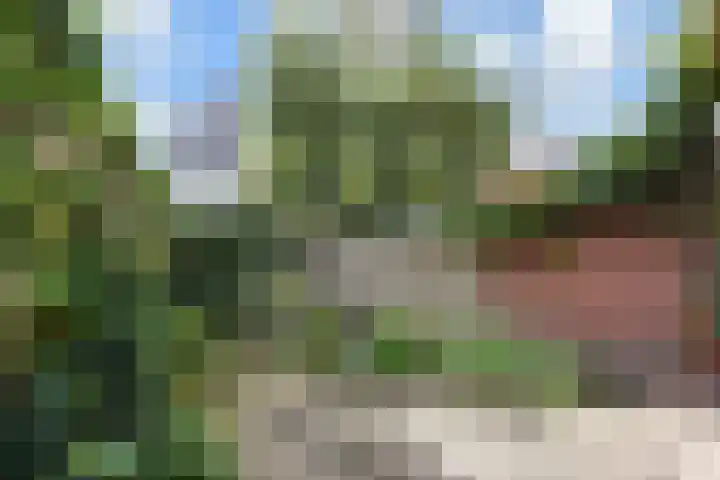 Laan van Heldenburg 2 Voorburg thumbnail 30