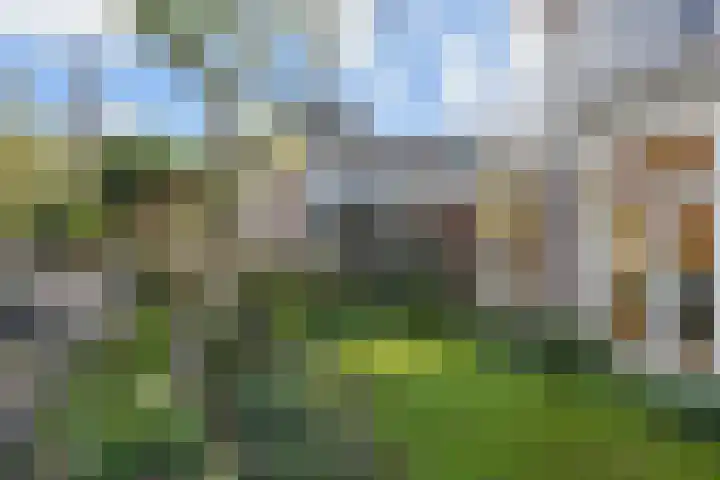 Laan van Heldenburg 2 Voorburg thumbnail 8