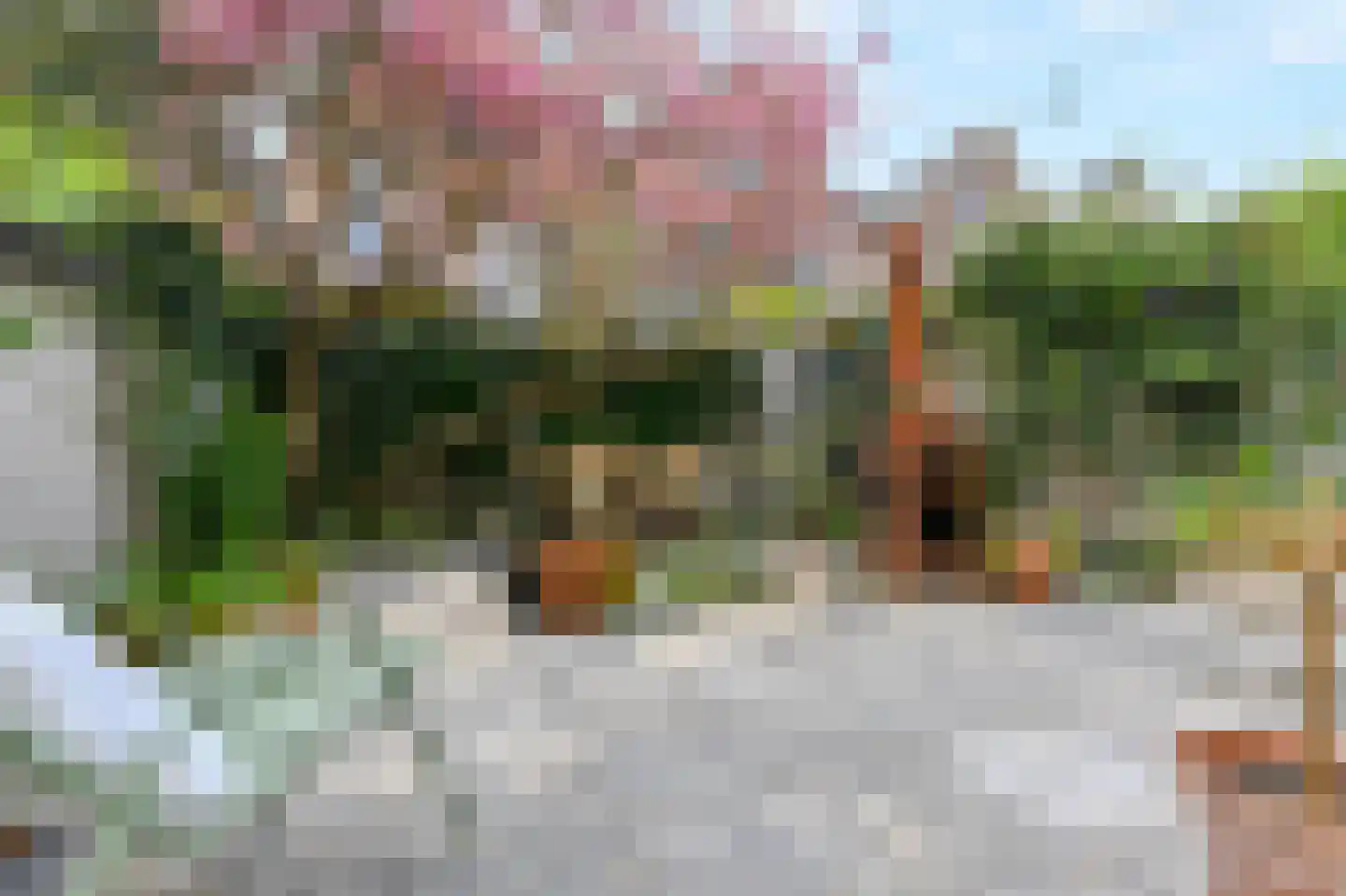 Laan van Heldenburg 44 Voorburg thumbnail 5