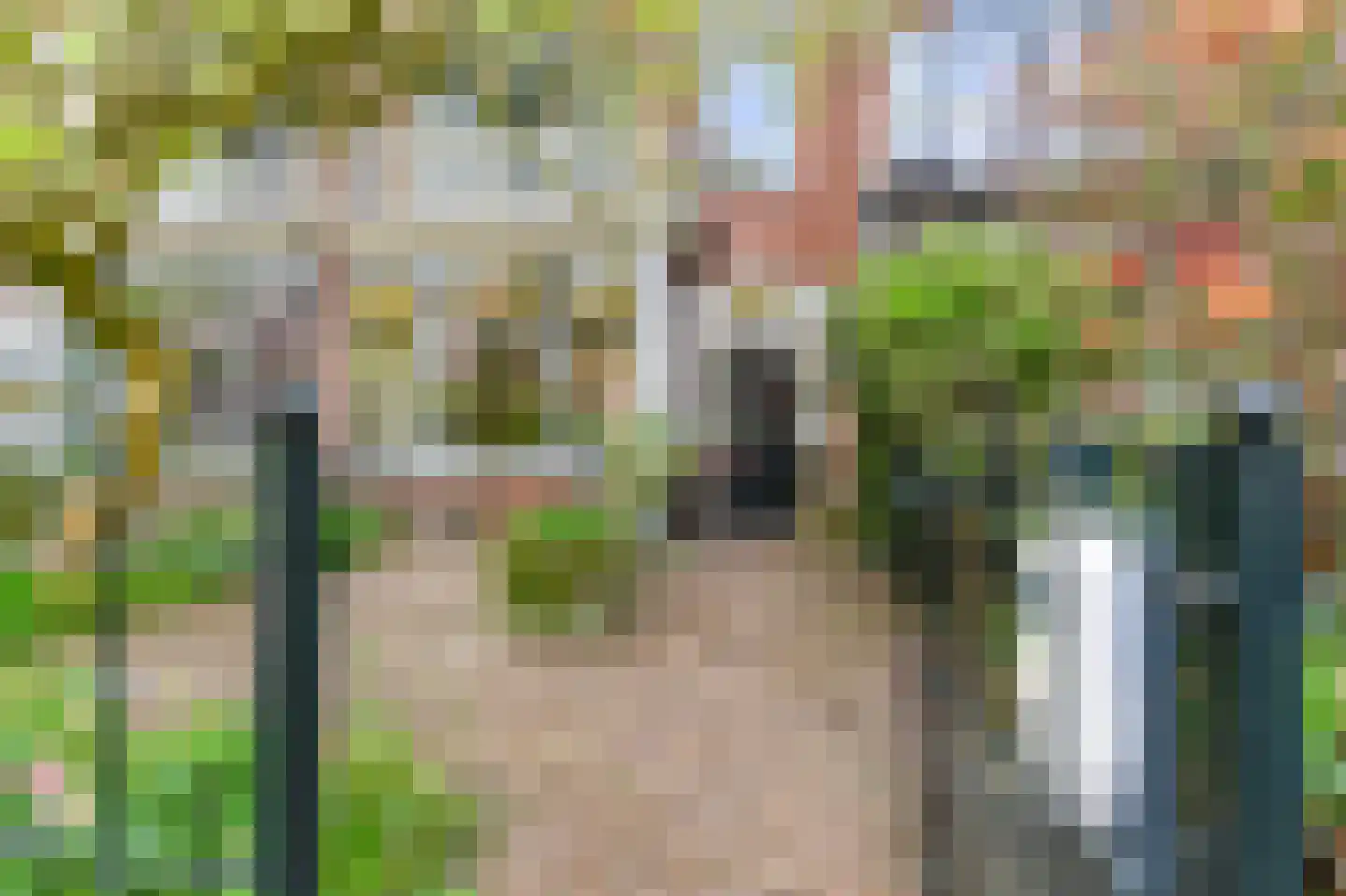 Laan van Heldenburg 44 Voorburg thumbnail 6