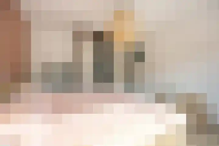 Laan van Henegouwen 19 Zeist thumbnail 27