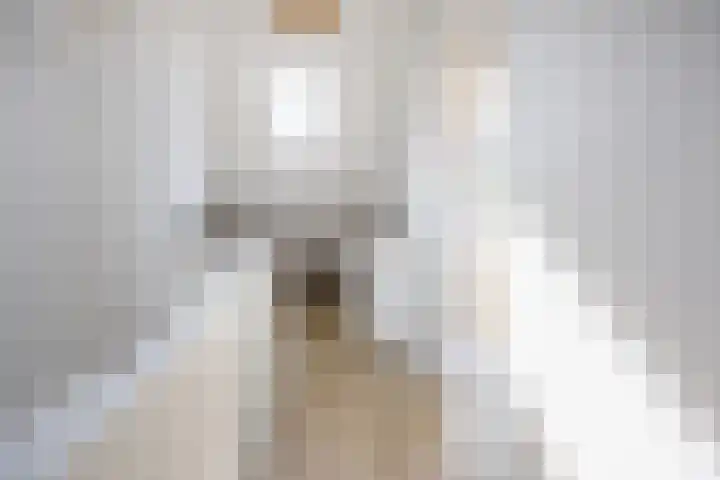 Laan van Henegouwen 19 Zeist thumbnail 35