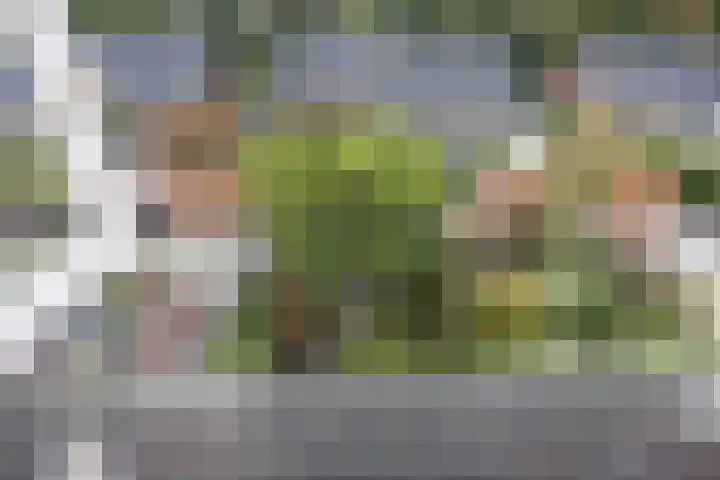 Laan van Henegouwen 19 Zeist thumbnail 39