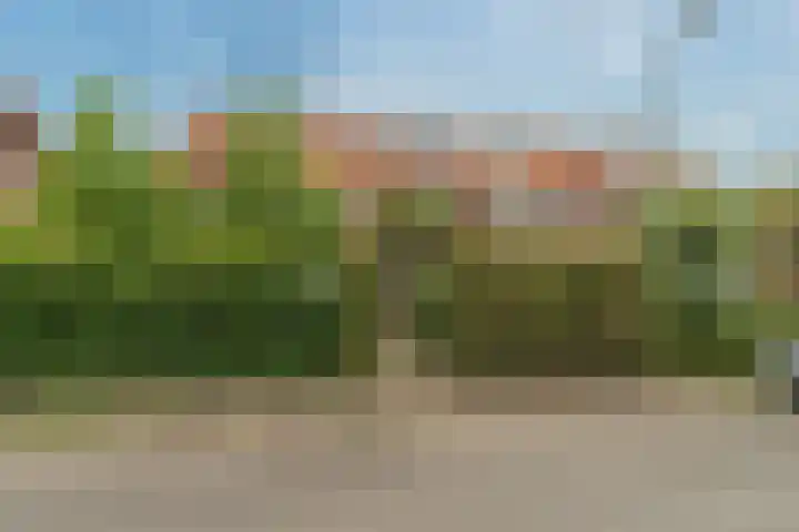 Laan van Henegouwen 19 Zeist thumbnail 4