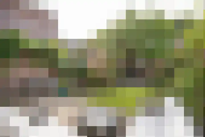 Laan van Henegouwen 19 Zeist thumbnail 42