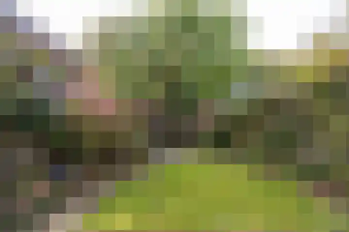 Laan van Henegouwen 19 Zeist thumbnail 43