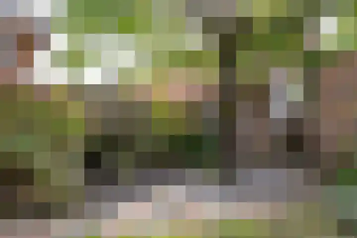 Laan van Henegouwen 19 Zeist thumbnail 44