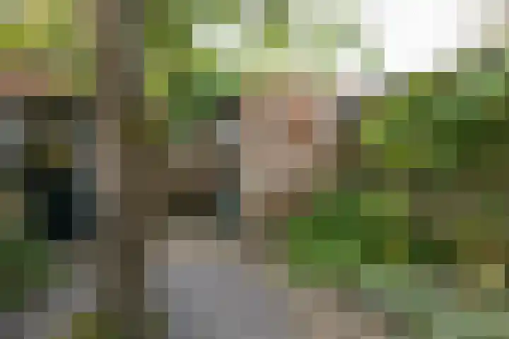 Laan van Henegouwen 19 Zeist thumbnail 45
