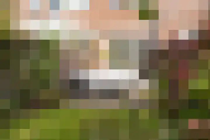 Laan van Henegouwen 19 Zeist thumbnail 46