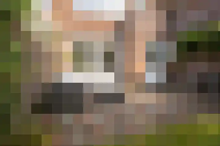 Laan van Henegouwen 19 Zeist thumbnail 47
