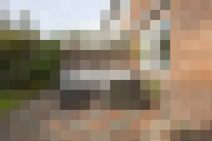 Laan van Henegouwen 19 Zeist thumbnail 48