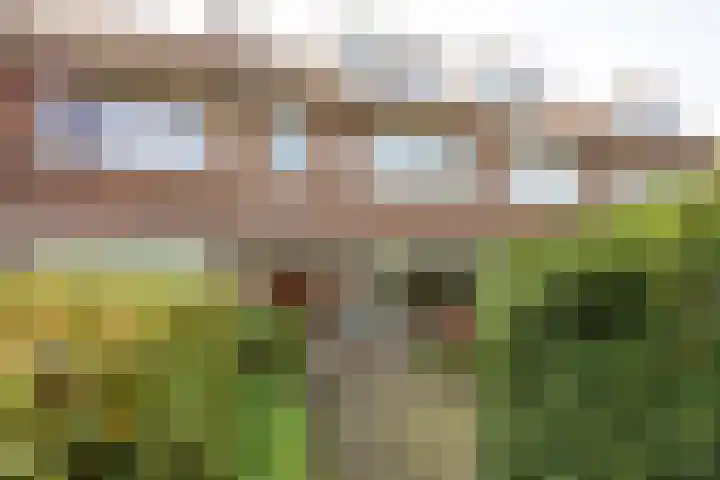 Laan van Henegouwen 19 Zeist thumbnail 5