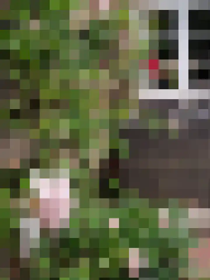 Laan van Henegouwen 19 Zeist thumbnail 50