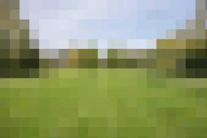 Laan van Henegouwen 19 Zeist thumbnail 52