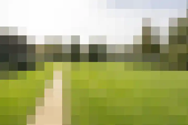Laan van Henegouwen 19 Zeist thumbnail 53