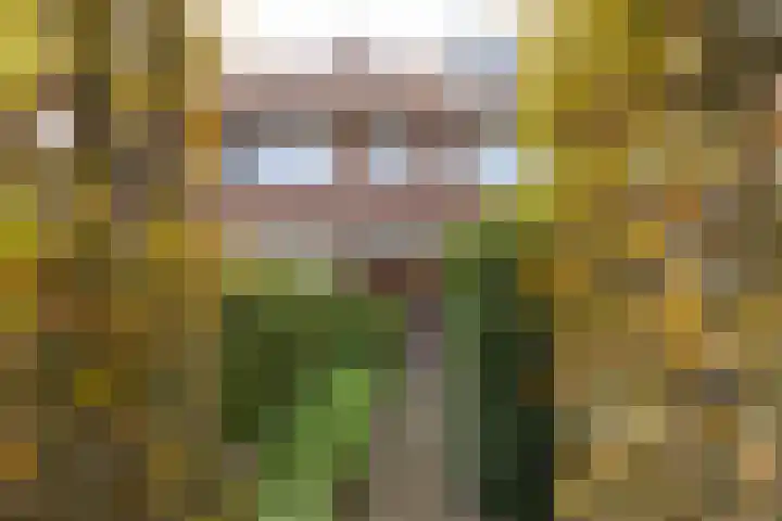 Laan van Henegouwen 19 Zeist thumbnail 6