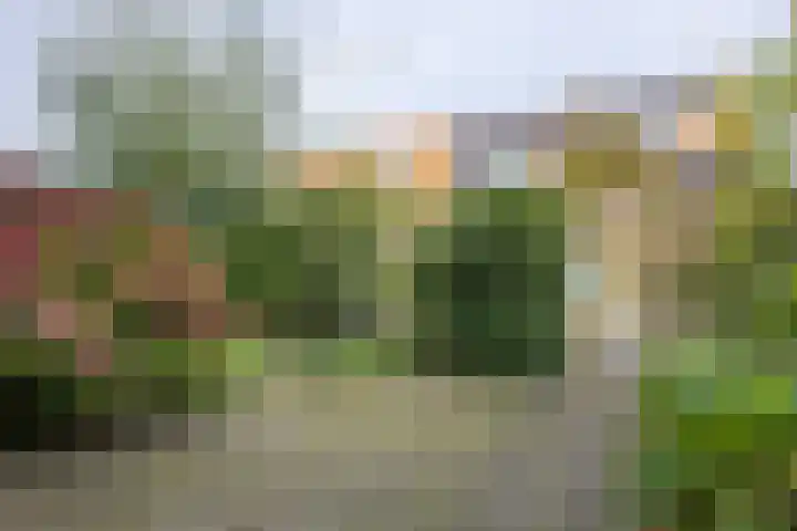 Laan van Henegouwen 19 Zeist thumbnail 8