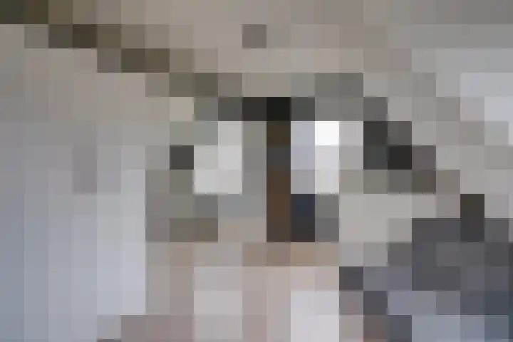 Laan van Henegouwen 2 Zeist thumbnail 18