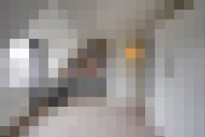 Laan van Henegouwen 2 Zeist thumbnail 19