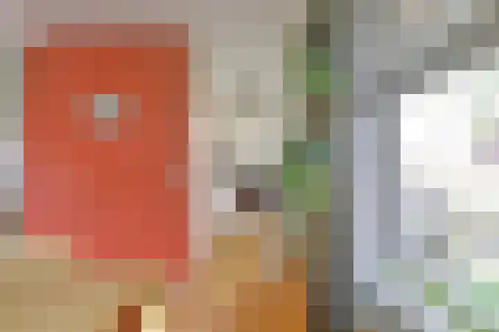 Laan van Henegouwen 22 Zeist thumbnail 13